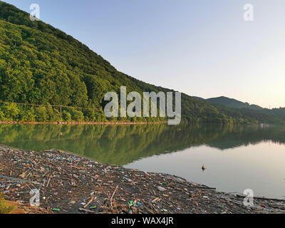 Verschmutzten Wald See, Papierkorb und Plastikflaschen auf der Wasseroberfläche, ökologische Katastrophe Stockfoto