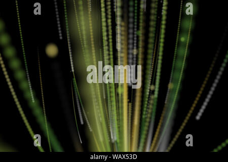 Grün und gelb strahlen auf schwarzem Hintergrund Stockfoto