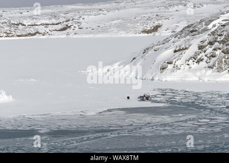 Eisfischer an der Küste von Ilulissat, Avannnaata Kommunia, Grönland, England, Irland. Angeln auf Eis in Ilulissat, Grönland, Dänemark Stockfoto