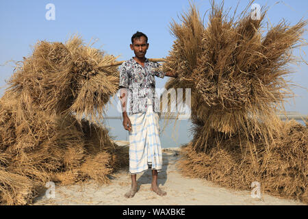 Landwirt des chars Leute am Ufer des Yamuna Flusses in Bogra, Bangladesch Stockfoto