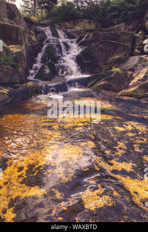 Ilse Flusses durch den Wald im Harz National Park fließt, Deutschland Stockfoto