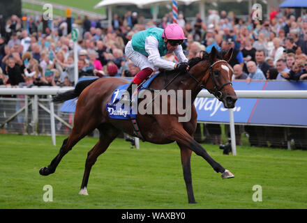 York Racecourse, UK. 22 August, 2019. Aktivieren Sie geritten von Frankie Dettori gewinnt, Darley Yorkshire Oaks, 2019 Credit: Allstar Bildarchiv/Alamy leben Nachrichten Stockfoto