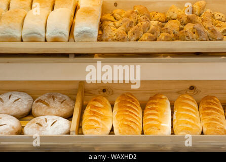 Hintergrund - Regale in einer Bäckerei mit frischem Brot verschiedener Sorten Stockfoto