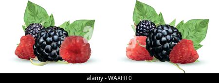 3D realistische Black und Himbeere auf weißem Hintergrund. Stellen Sie frische, Sommer Berry mit grünen leaft. Schwarze und rote Himbeere. Vektor Stock Vektor