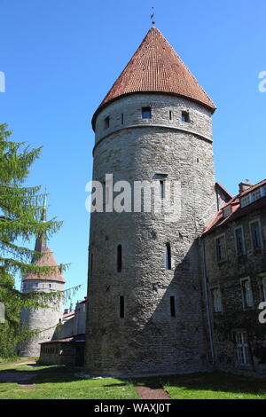 Mittelalterliche untere Stadt Mauern und Türme in Tallinn, Estland Stockfoto