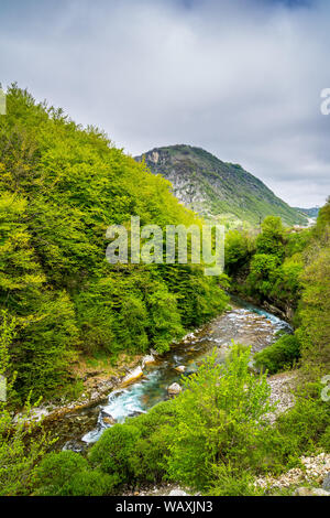 Montenegro, Sicht auf das kristallklare Wasser des Flusses bijela in nevidio Canyon im grünen Bäumen bedeckt Wald Natur Landschaft Stockfoto