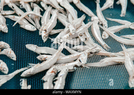 Gesalzene Sonne getrocknet Sardellen, Fisch, Meeresfrüchte Details - Industrie schließen Thailand Stockfoto