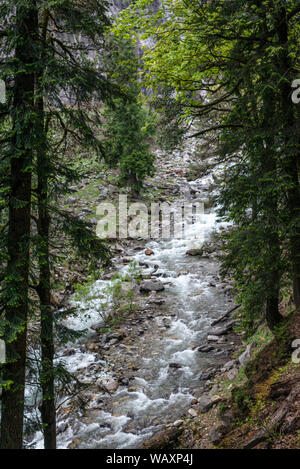 Schöne Szenen erlebt während der Wanderung zu den Hamta Pass Wanderung im Himalaya reicht - Stockfoto