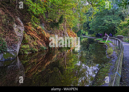 Herbst auf der Llangollen Canal in der Nähe von Llangollen Stadt North Wales UK Oktober 2018 Stockfoto