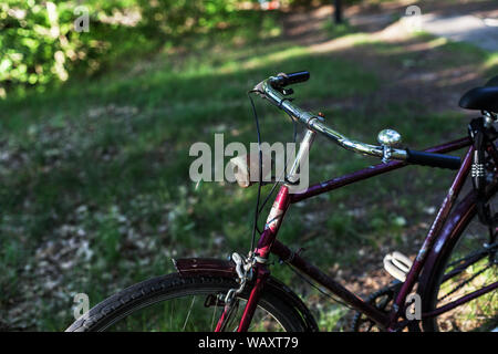 Die alten Männer Rad hollandrad Fahrrad im Wald Chrom rostig, grün Stockfoto