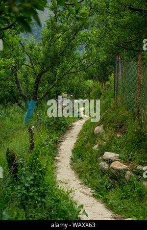 Foto von Apple Garden im Himalaya - Indien Stockfoto