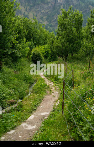 Foto von Apple Garden im Himalaya - Indien Stockfoto