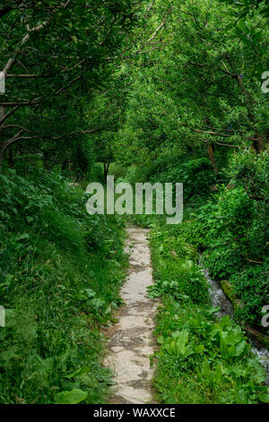 Foto von Apple Garden im Himalaya - Indien Stockfoto