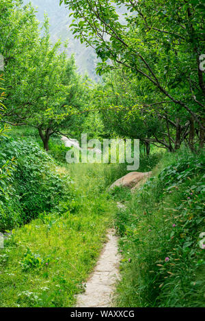 Foto von Apple Garden im Himalaya - Indien Stockfoto