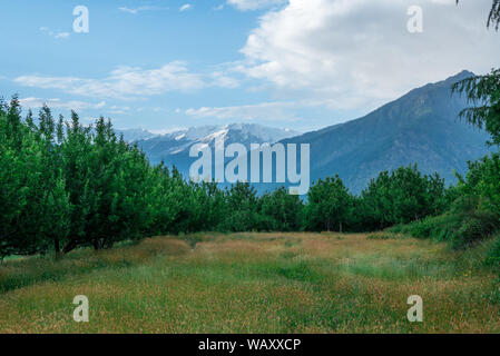 Foto von Apple Garden im Himalaya - Indien Stockfoto