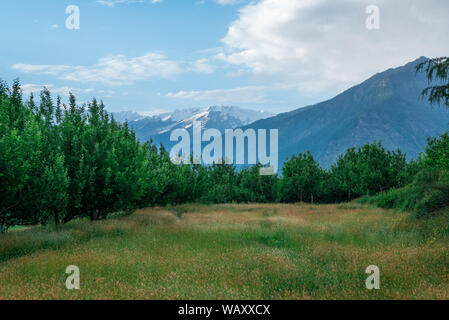 Foto von Apple Garden im Himalaya - Indien Stockfoto
