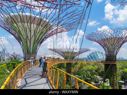 Die ocbc Skyway, eine Antenne Gehweg in der Supertree Grove, Gärten an der Bucht, Singapore City, Singapur Stockfoto