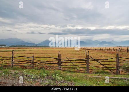 Das Pferd in der Kaukasischen Berge, Aserbaidschan Stockfoto