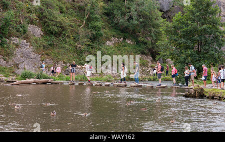 Ältere Mann über die Trittsteine über den Fluss Dove, Dovedale, Derbyshire geholfen wird. Einem langen Sommertag mit einer Warteschlange zu überqueren Stockfoto