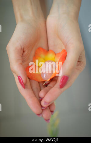 Weibliche hand mit roten Maniküre Holding transparent violett Amethyst yoni Ei für vumfit, imbuilding oder Meditation in Orange und Gelb gladiolus Stockfoto