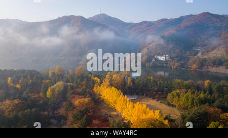 Luftaufnahme Herbst Insel Nami, Seoul Korea Stockfoto