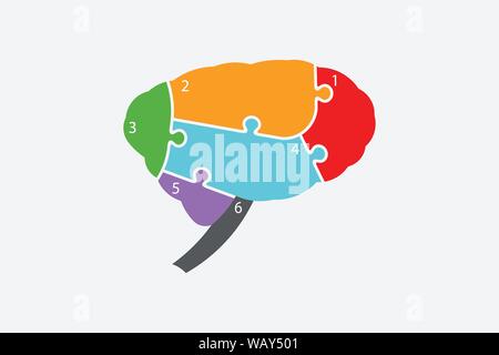 Gehirn, aufgeteilt in sechs Teile wie Puzzle. Funktion Zonen. Vektor Stock Vektor