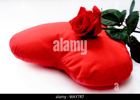 Rote Rose und ein Kissen in Herzform Stockfoto