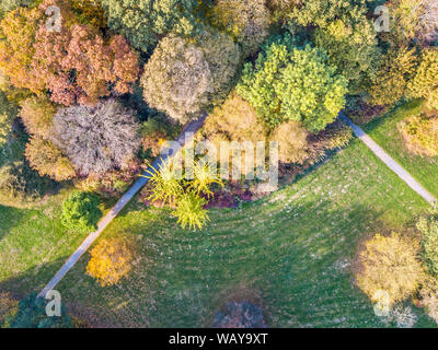 Luftbild von oben nach unten einen Blick auf das City Park im Oktober Herbst Farben, Niederlande, Europa Stockfoto