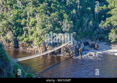 Suspension Fußgängerbrücke über die Storms River in den Tsitsikamma National Park, ein Teil von einem Wanderweg entlang der Garden Route von Südafrika Stockfoto