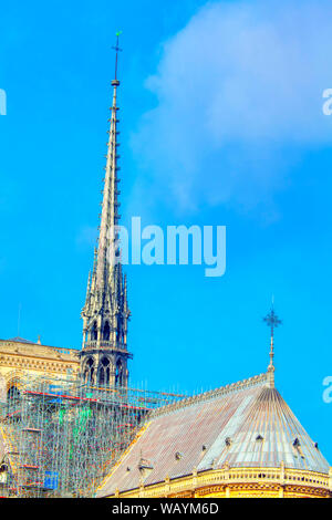 Architektur dome Details von Notre-Dame de Paris. Stockfoto