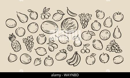 Viele handgezeichnete Früchte. Vektorgrafik Lebensmittelskizze Stock Vektor