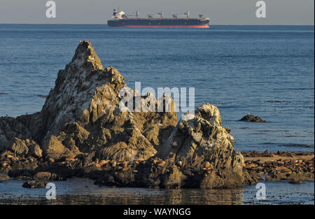 Ein Schiff ist von den Klippen bei Shore Acres State Park auf Cape Arago gesehen, in der Nähe von Charleston, South Carolina, in der Coos Bay Area Stockfoto