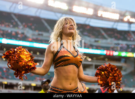 Cincinnati, USA. 22 Aug, 2019. August 22, 2019: ein Cincinnati Bengals Cheerleader führt während der NFL Football preseason Spiel zwischen den New York Giants und die Cincinnati Bengals an Paul Brown Stadium in Cincinnati, OH. Adam Lacy/CSM Credit: Cal Sport Media/Alamy leben Nachrichten Stockfoto