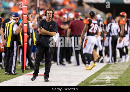 Cincinnati, USA. 22 Aug, 2019. 22. August 2019 - Cincinnati Bengals Haupttrainer Zac Taylor während NFL Football preseason Spiel zwischen den New York Giants und die Cincinnati Bengals an Paul Brown Stadium in Cincinnati, OH. Adam Lacy/CSM Credit: Cal Sport Media/Alamy leben Nachrichten Stockfoto