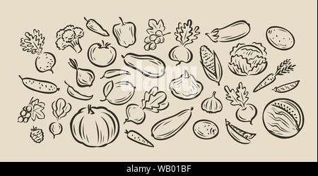 Viele handgezeichnete Gemüse. Vektorgrafik Lebensmittelskizze Stock Vektor