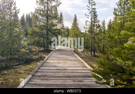 Holzbrücke über Geysir im Yellowstone National Park Stockfoto