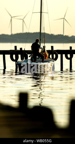 Lembruch, Deutschland. 22 Aug, 2019. Ein junger Mann lässt die Segel von einem Segelboot an einem Steg am Dümmer See im Landkreis Diepholz. Credit: Hauke-Christian Dittrich/dpa/Alamy leben Nachrichten Stockfoto