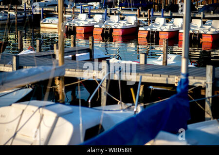 Lembruch, Deutschland. 22 Aug, 2019. Tretboote liegen in der Abendsonne auf einem Steg in Dümmer See im Landkreis Diepholz. Credit: Hauke-Christian Dittrich/dpa/Alamy leben Nachrichten Stockfoto