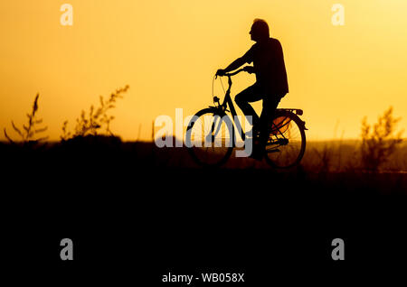 Lembruch, Deutschland. 22 Aug, 2019. Ein Mann fährt mit dem Fahrrad in die Abendsonne auf einem Radweg am Dümmer See im Landkreis Diepholz. Credit: Hauke-Christian Dittrich/dpa/Alamy leben Nachrichten Stockfoto