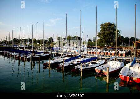 Lembruch, Deutschland. 22 Aug, 2019. Segelboote liegen in der Abendsonne in einer Marina am Dümmer See im Landkreis Diepholz. Credit: Hauke-Christian Dittrich/dpa/Alamy leben Nachrichten Stockfoto