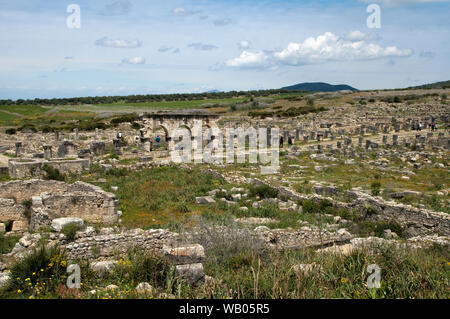 Volubilis Marokko, Panorama der römischen Ruinen einschließlich Decumanus Maximus Avenue Stockfoto