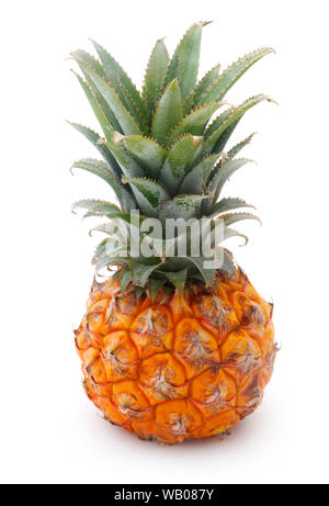 Baby Ananas isoliert auf weißem Stockfoto