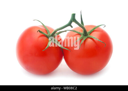 Zwei Tomaten isoliert auf weißem Stockfoto