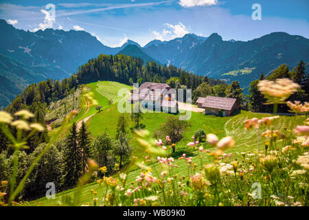 Berge, Alpen in Slowenien mit Bauernhof und blühende Wiesen, solcava Panoramastraße Stockfoto