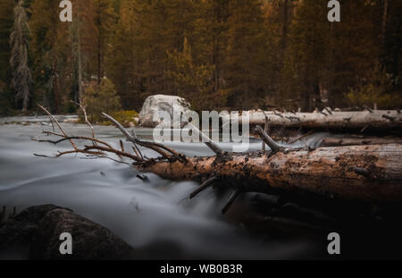 Rapids im Sequoia Nationalpark Stockfoto