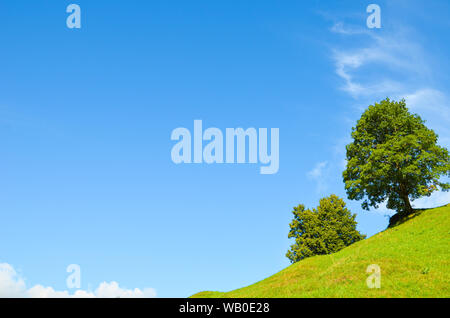 Grüne Bäume auf einem steilen Hügel, blauer Himmel mit Wolken hinter dem Horizont. Kopieren Sie Platz für Text. Der leere Raum. Motivation, persönliche Entwicklung Konzept Stockfoto