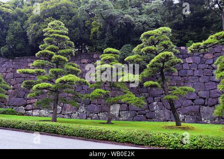 Blick aus der ganzen alten Kyoto Gosho Imperial Royal Palace in Tokyo Japan einschließlich Pfade, Wassergraben, Brücke, Gärten und Bäumen. Asien. Stockfoto