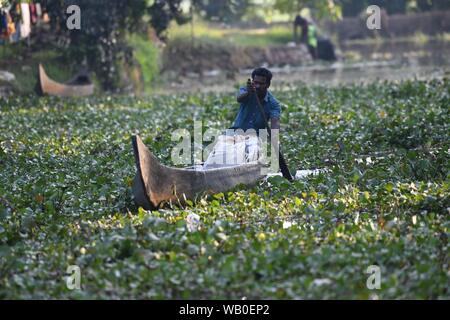 Kerala Backwaters. Lokale indische Mann paddeln kleine traditionelle Boot im Rückstau Kanäle in Kerala, Indien Stockfoto