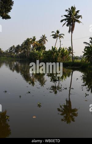 Kerala Backwaters. Baum Reflexionen im Klaren backwater in Kerala, Indien Stockfoto