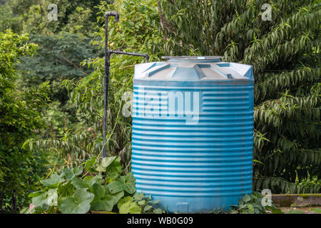 Blue Water Tank bedeckt mit Bäumen und Pflanzen. Stockfoto